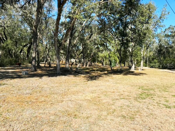16347 Albright Road Spring Hill FL 34610 W7882776 image3