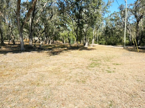 16347 Albright Road Spring Hill FL 34610 W7882776 image4