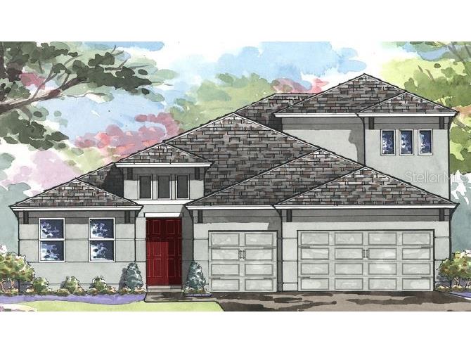 16347 Frehley Run Land O Lakes FL 34638 T3336611 image1