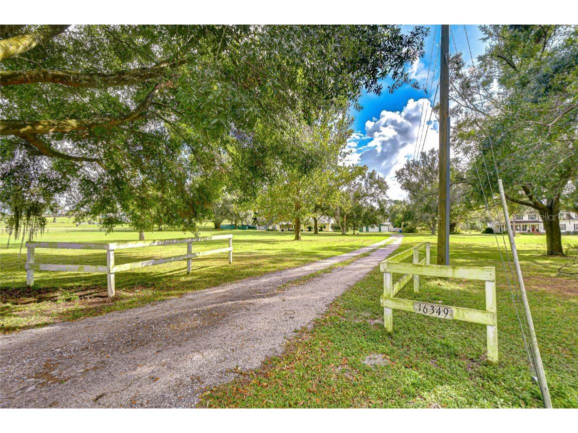 16349 Spring Valley Road Dade City FL 33523 TB8441983 image3