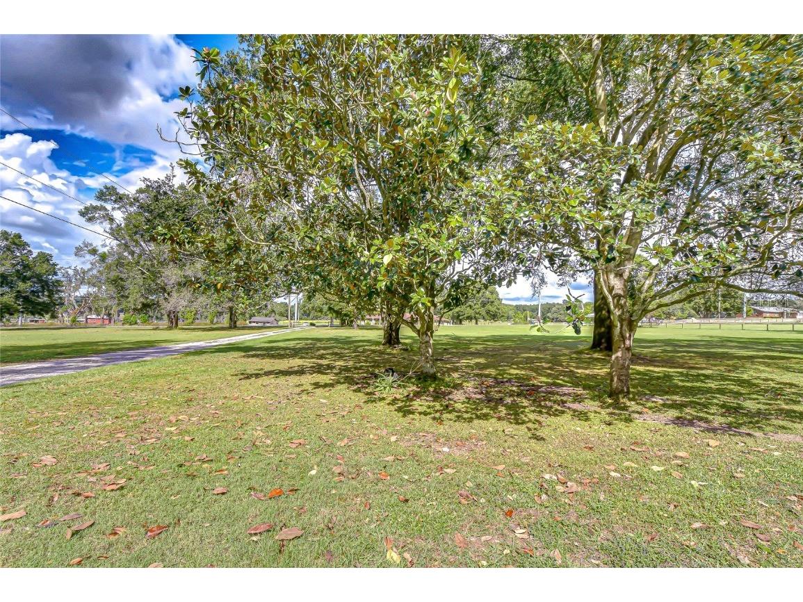 16349 Spring Valley Road Dade City FL 33523 TB8441983 image39