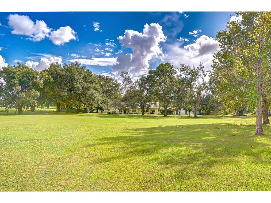 16349 Spring Valley Road Dade City FL 33523 TB8441983 image40