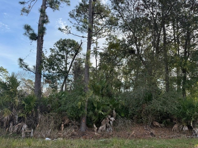 1635 3rd Deland FL 32724 V4940372 image1