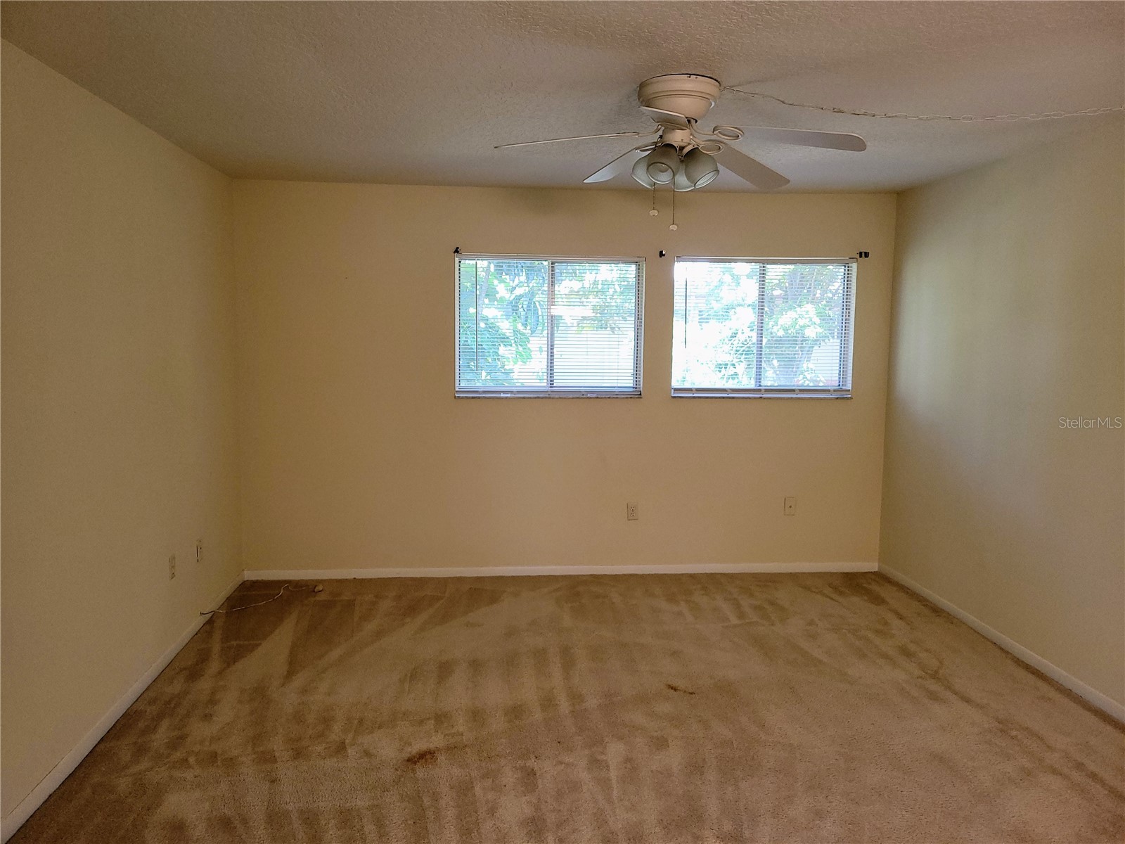 1635 58th Terrace S #4 Saint Petersburg FL 33712 TB8439788 image10