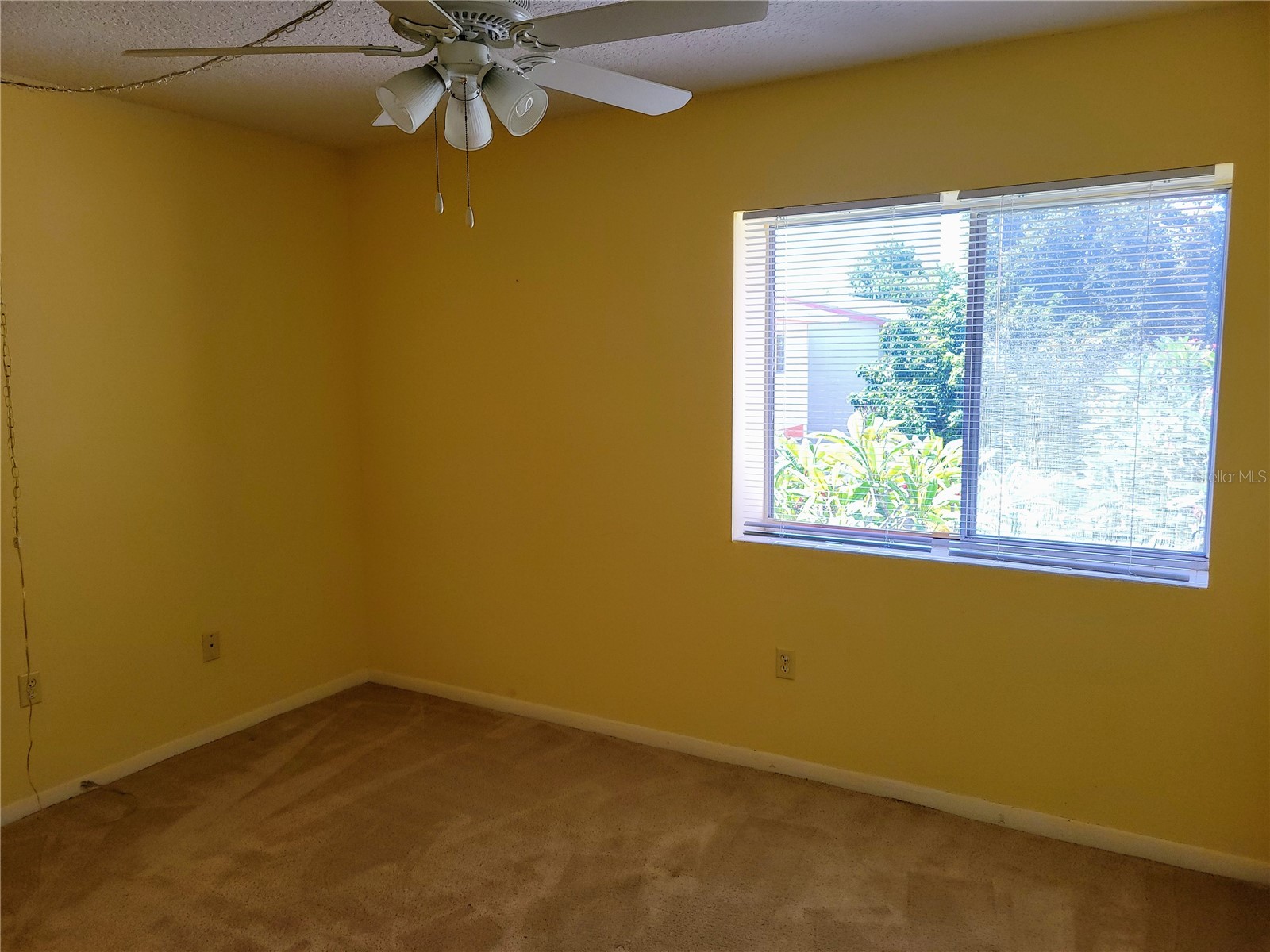 1635 58th Terrace S #4 Saint Petersburg FL 33712 TB8439788 image14