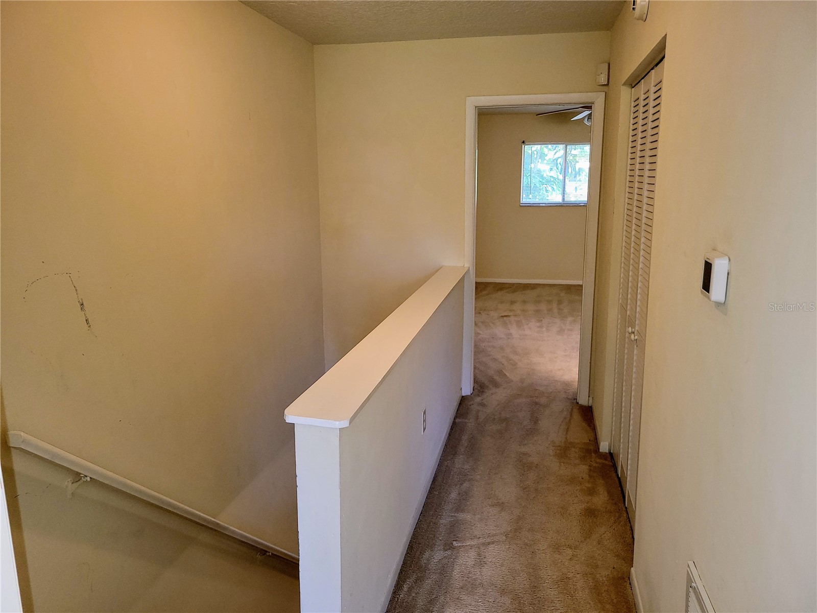 1635 58th Terrace S #4 Saint Petersburg FL 33712 TB8439788 image16