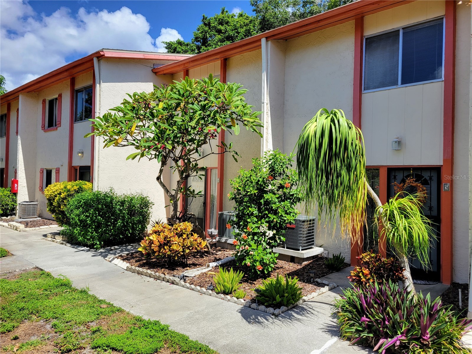 1635 58th Terrace S #4 Saint Petersburg FL 33712 TB8439788 image2