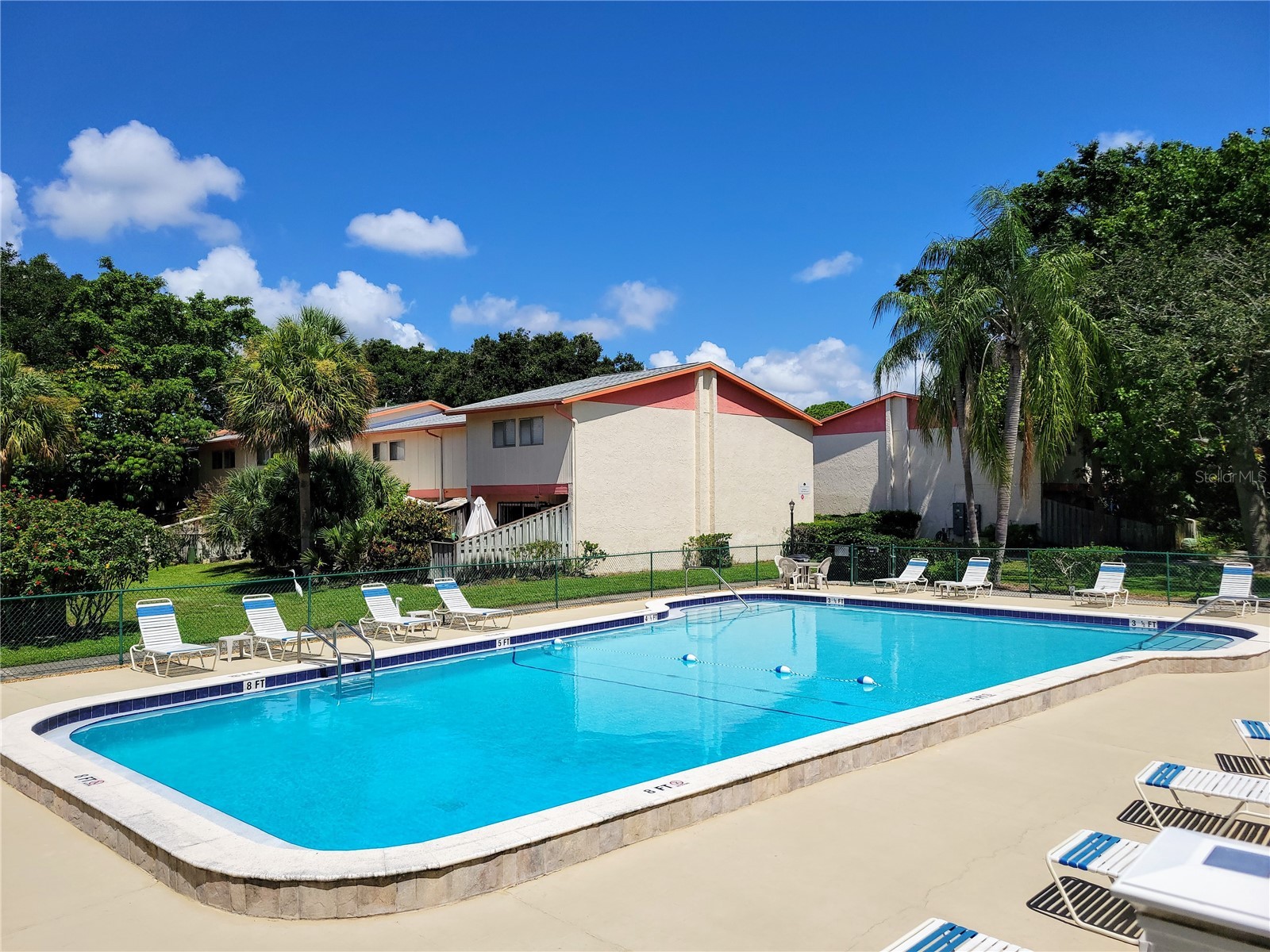 1635 58th Terrace S #4 Saint Petersburg FL 33712 TB8439788 image25