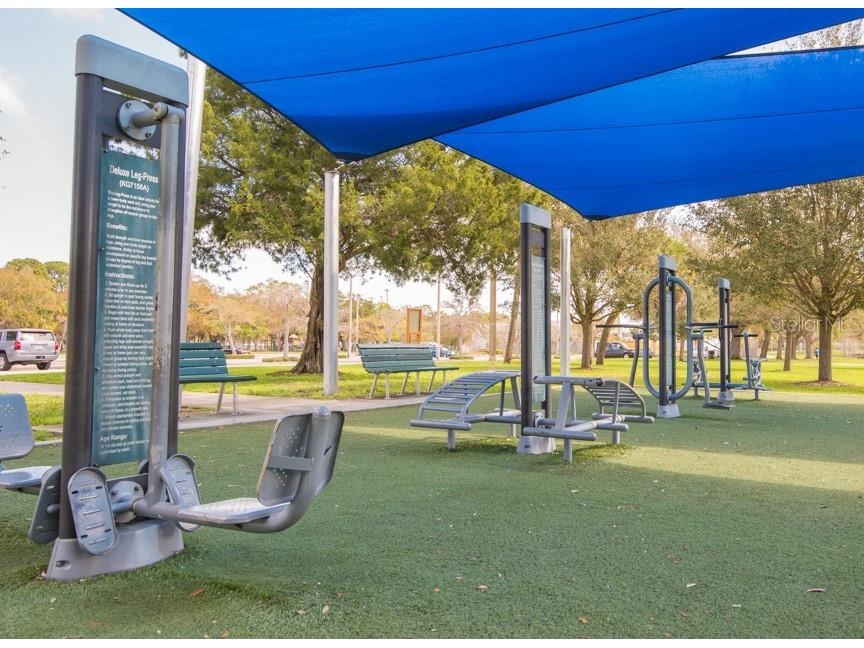 1635 58th Terrace S #4 Saint Petersburg FL 33712 TB8439788 image27