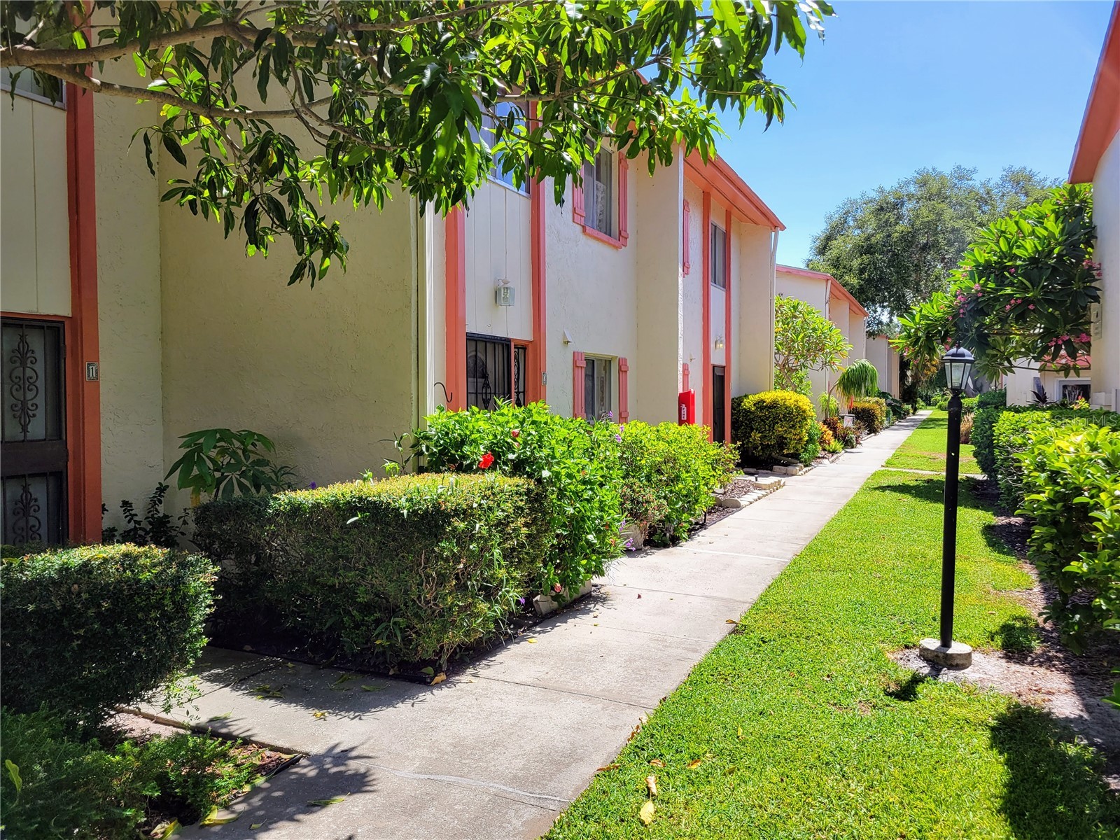 1635 58th Terrace S #4 Saint Petersburg FL 33712 TB8439788 image3