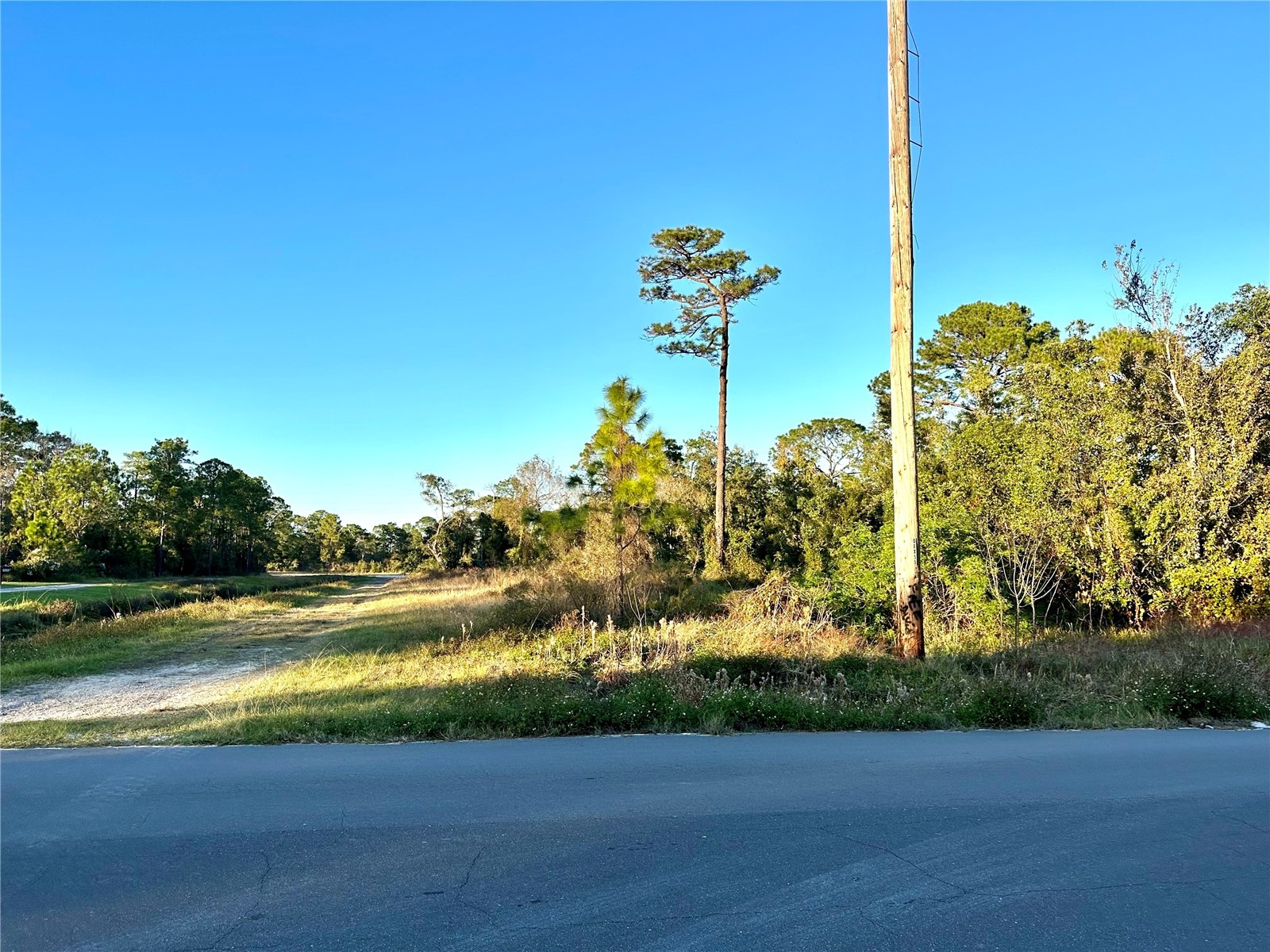 1635 Central Parkway Deland FL 32724 V4946690 image2