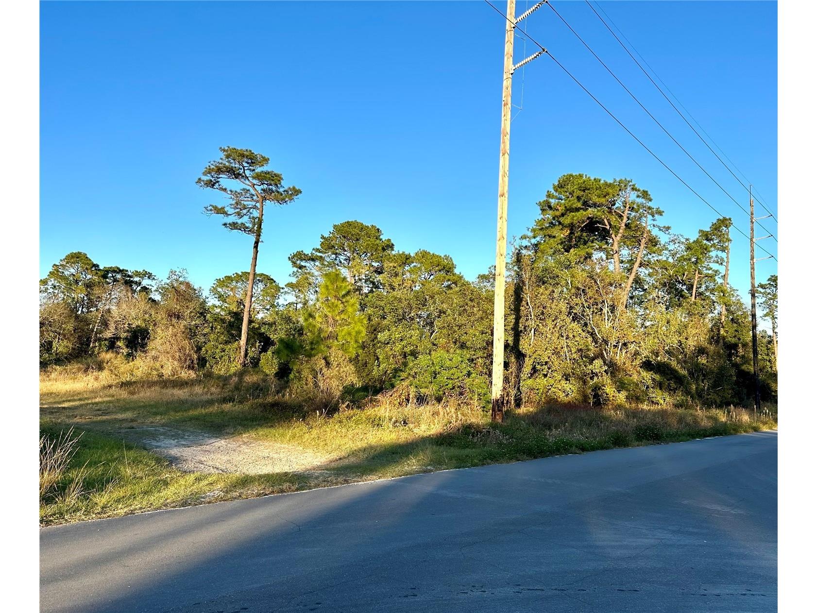 1635 Central Parkway Deland FL 32724 V4946690 image3