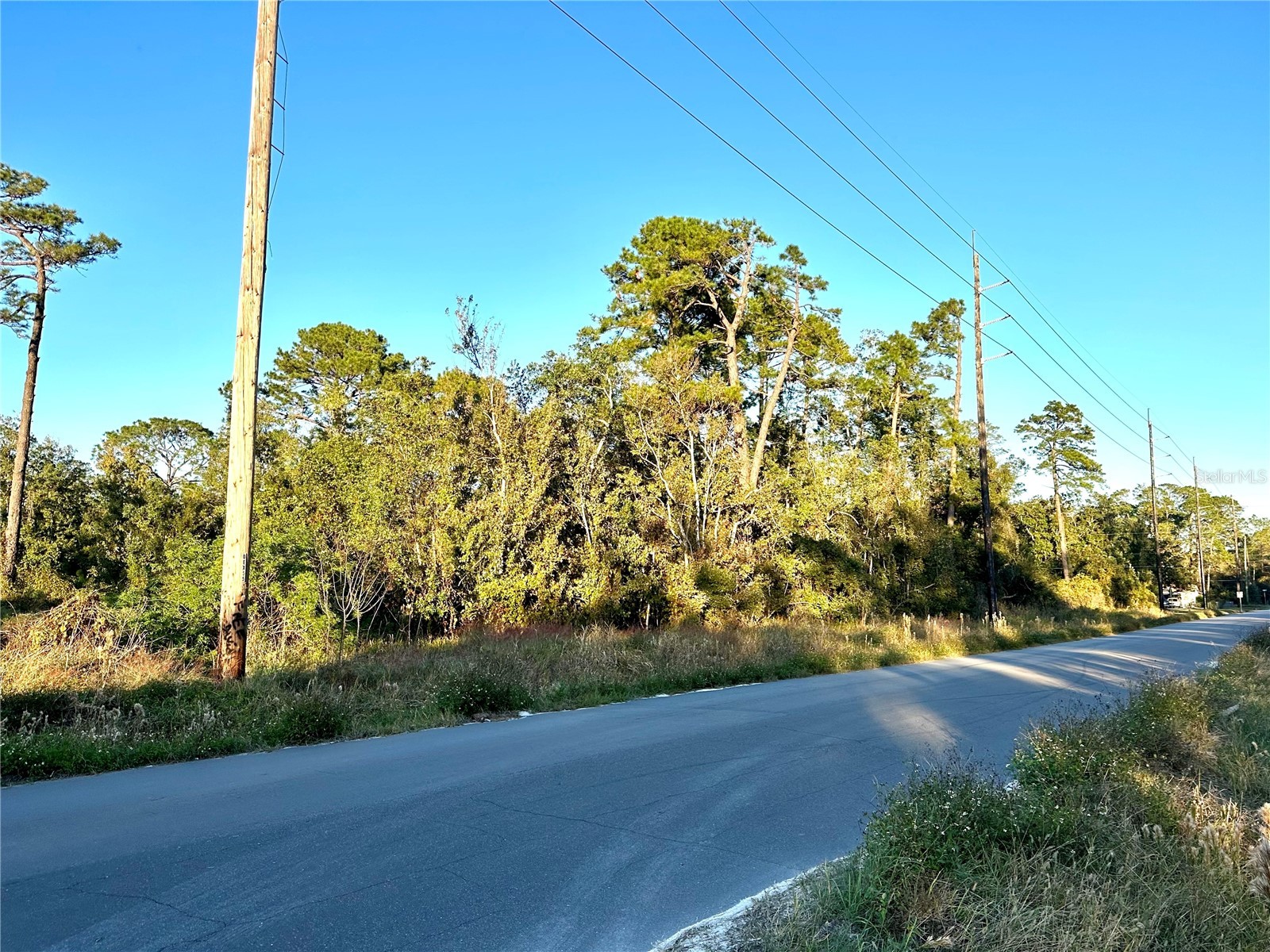 1635 Central Parkway Deland FL 32724 V4946690 image4