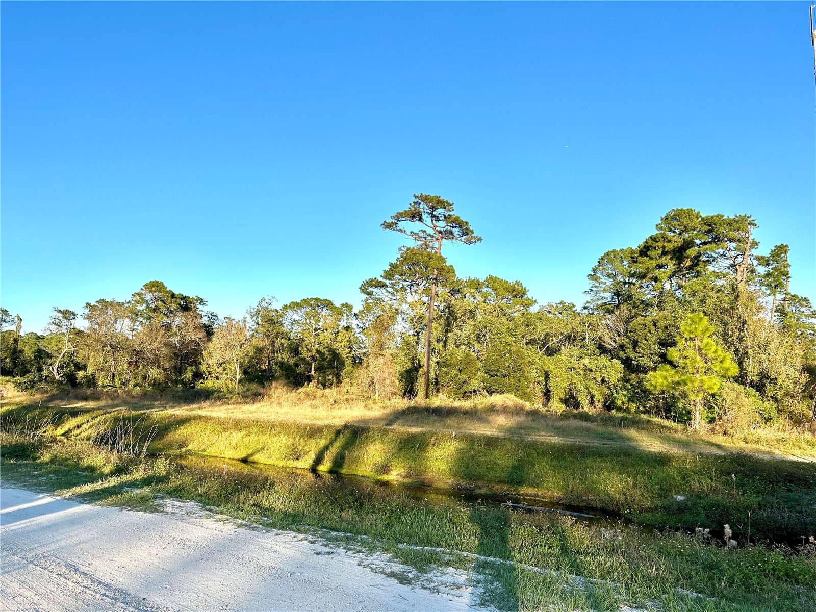 1635 Central Parkway Deland FL 32724 V4946690 image6