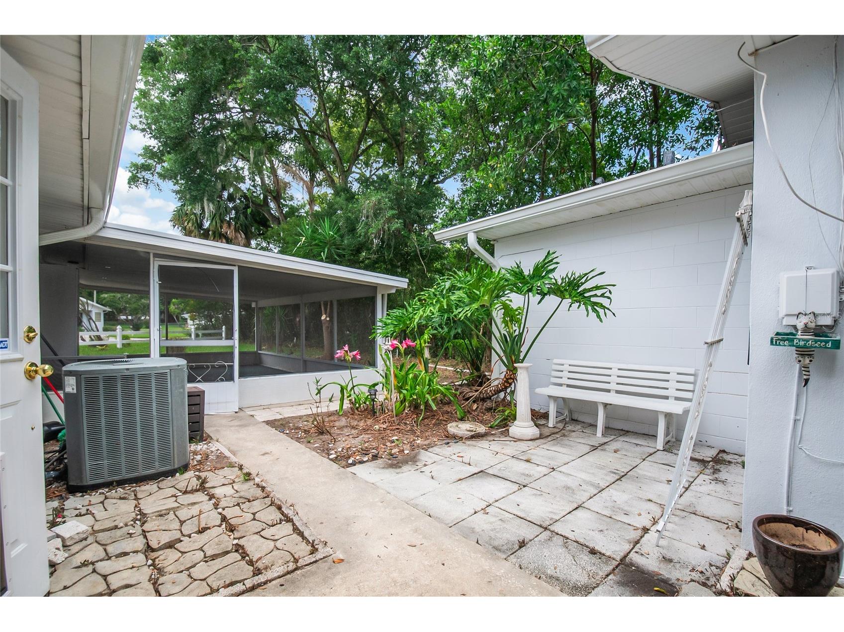 1635 Gertrude Place Mount Dora FL 32757 - LAKE GERTRUDE O6415401 image29