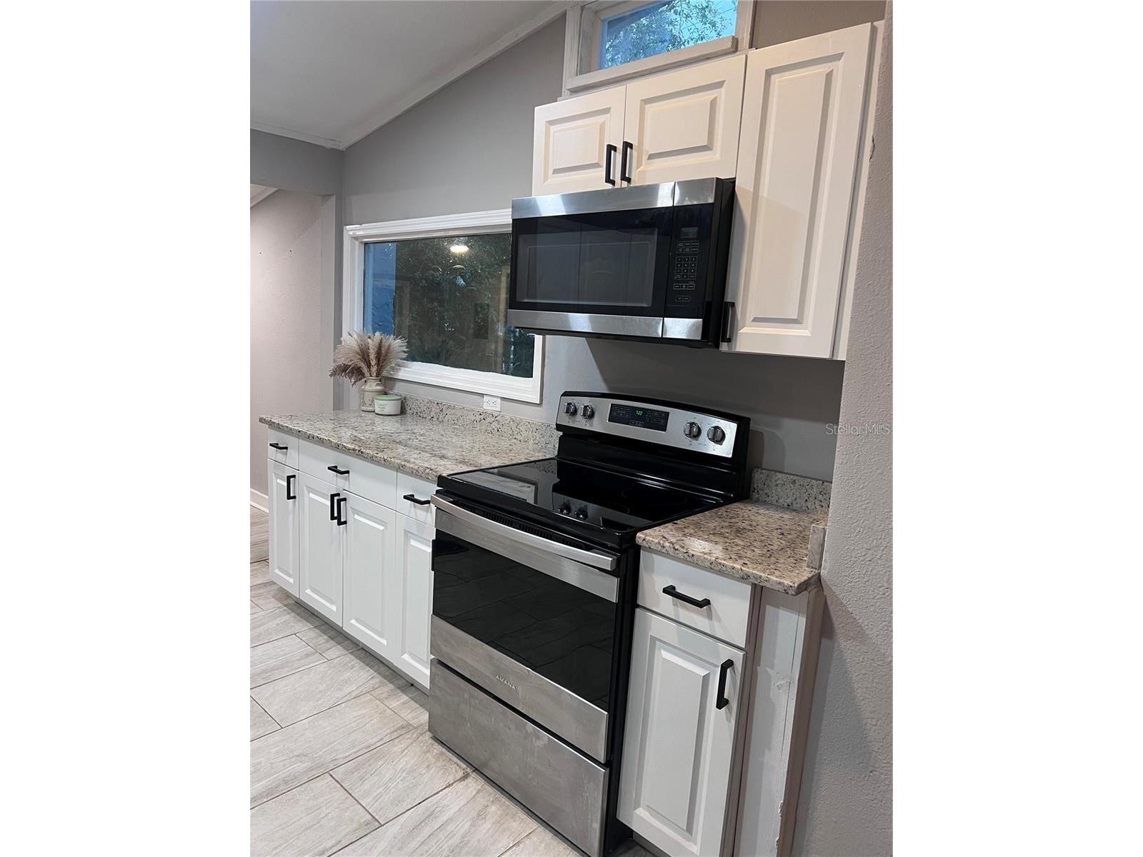1635 Partridge Boulevard Zephyrhills FL 33540 TB8504517 image4
