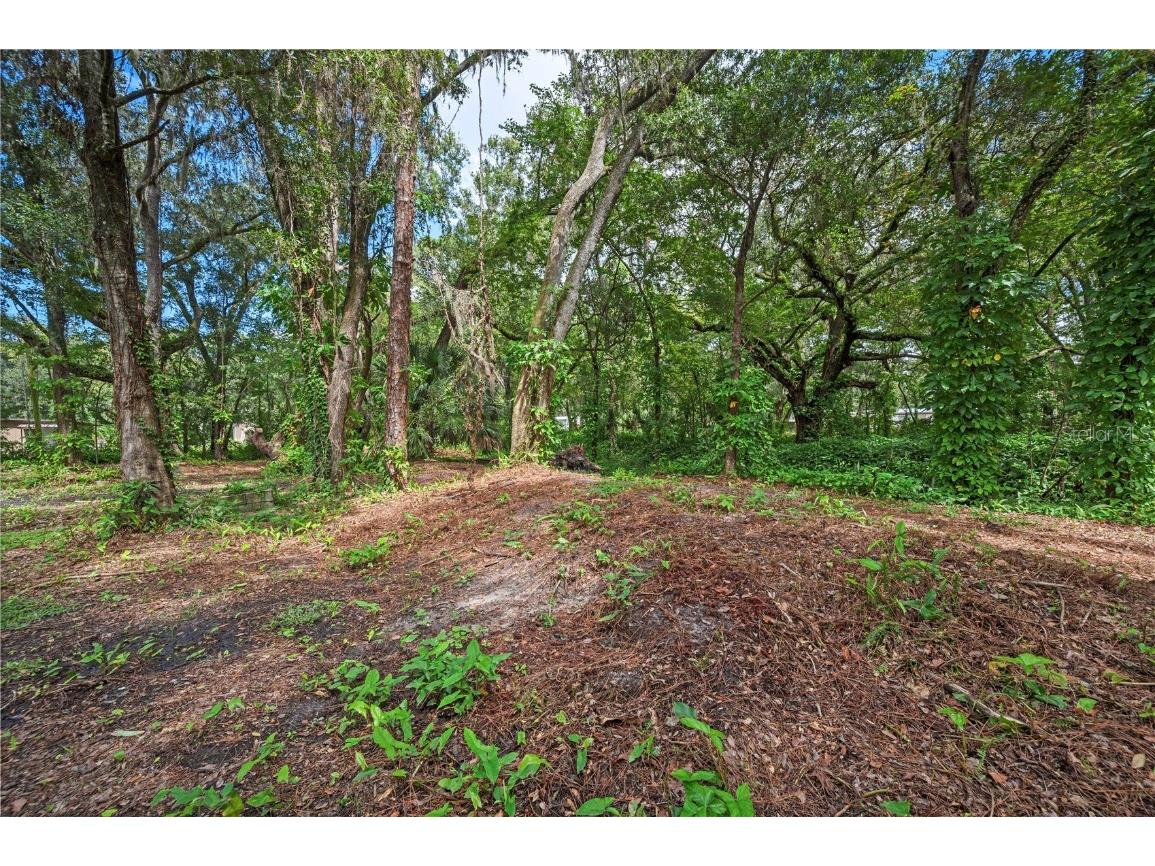 1635 Robin Street Auburndale FL 33823 TB8434136 image27