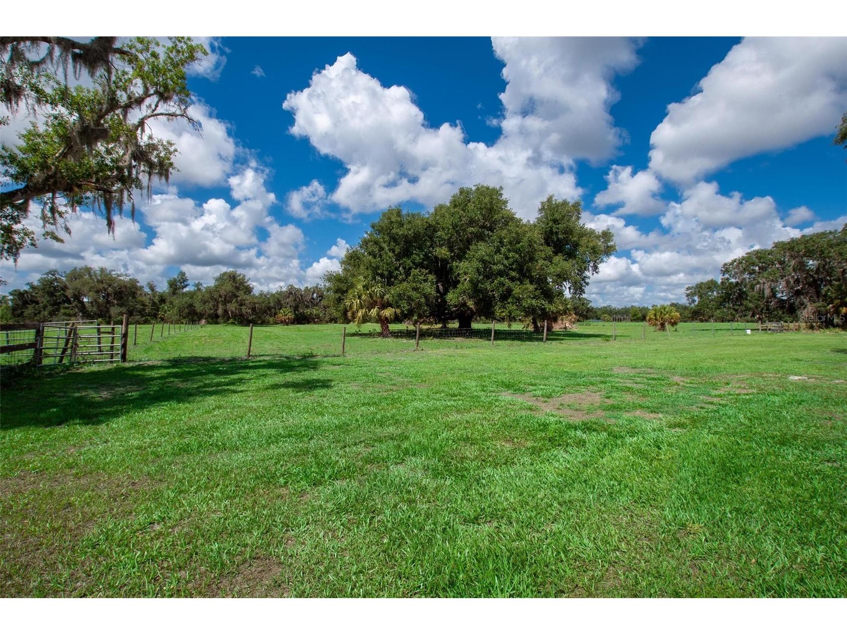 1635 SW Rodgers Avenue Arcadia FL 34266 C7526415 image26