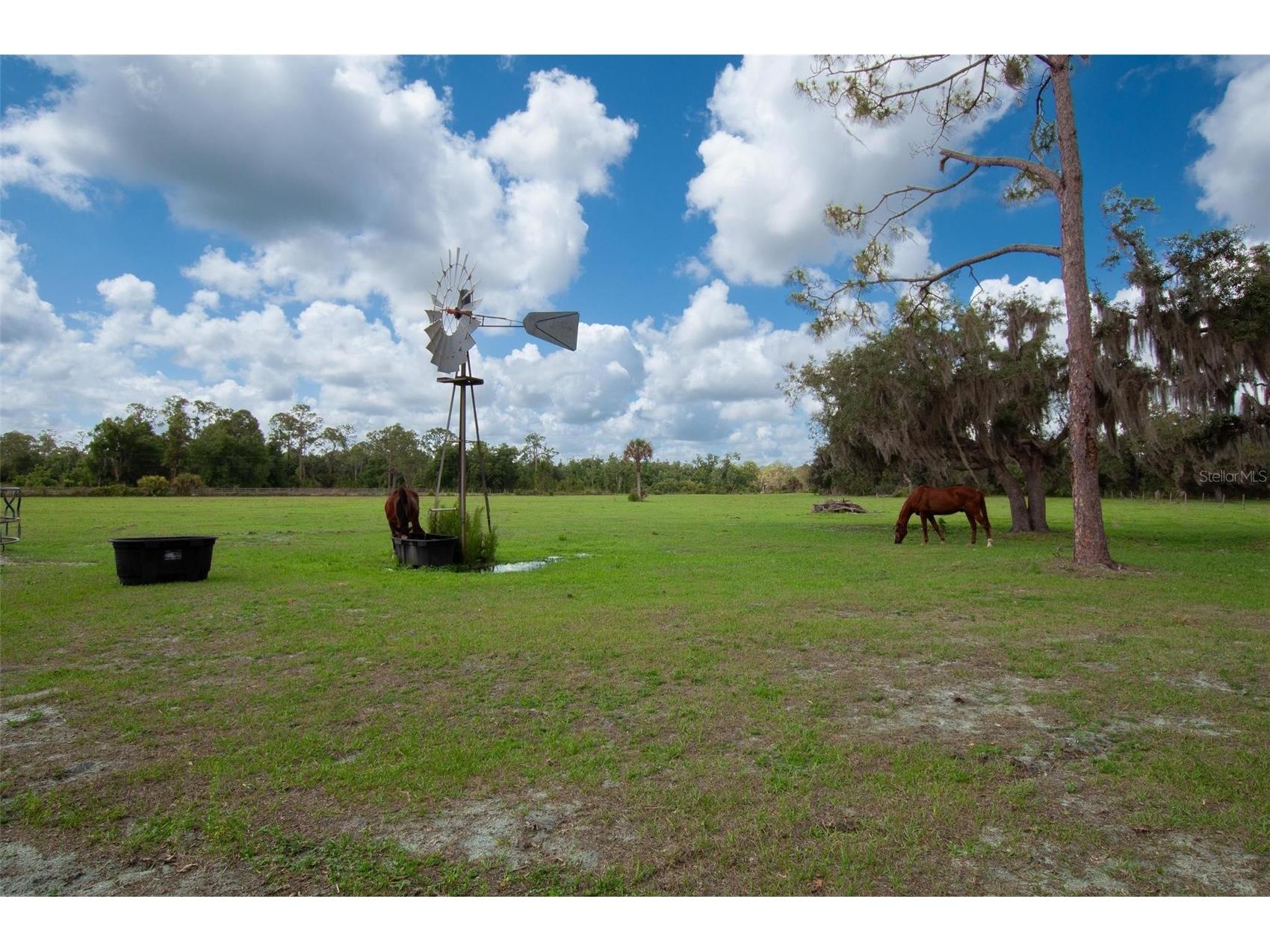 1635 SW Rodgers Avenue Arcadia FL 34266 C7526415 image28