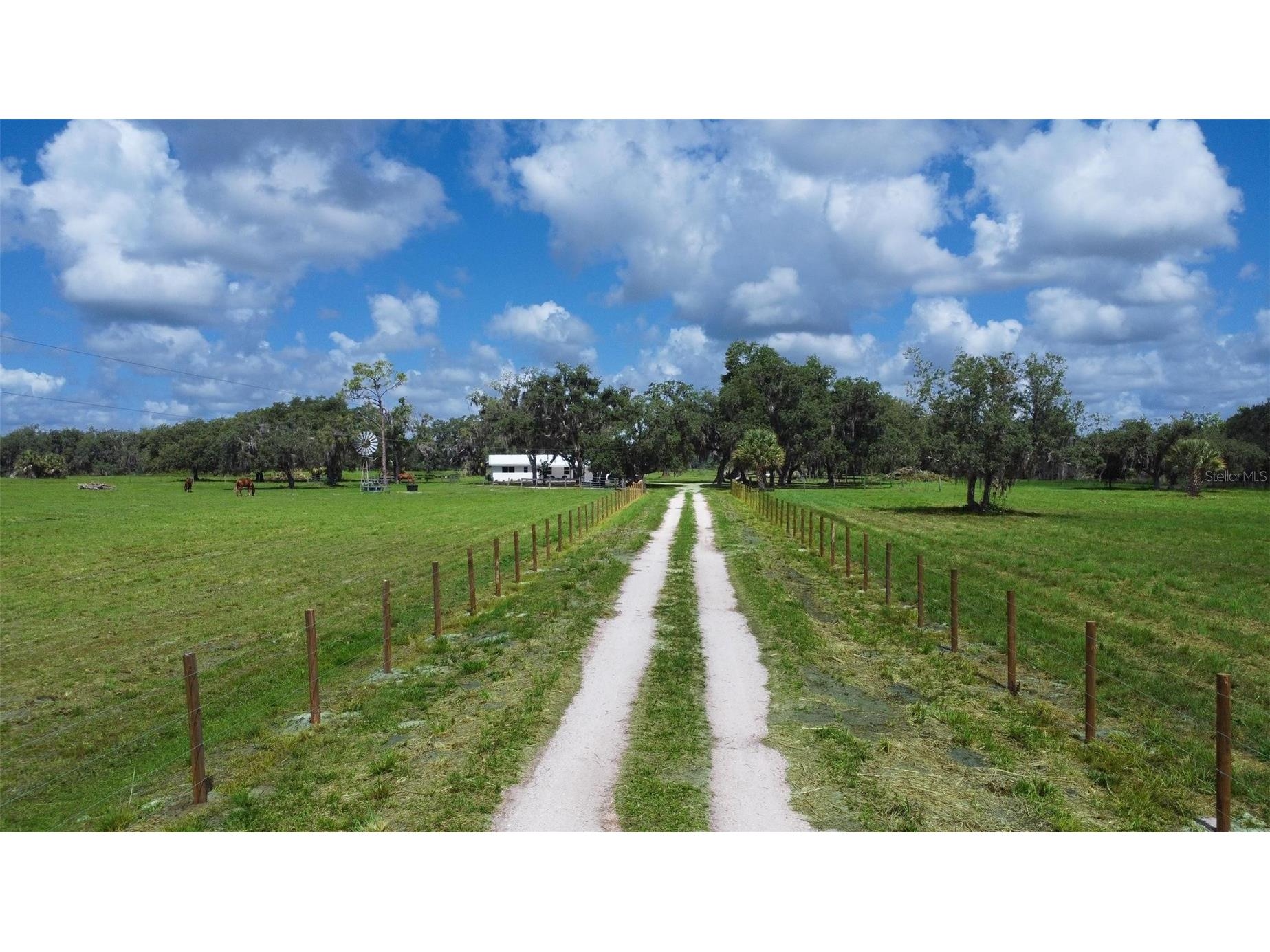 1635 SW Rodgers Avenue Arcadia FL 34266 C7526415 image3