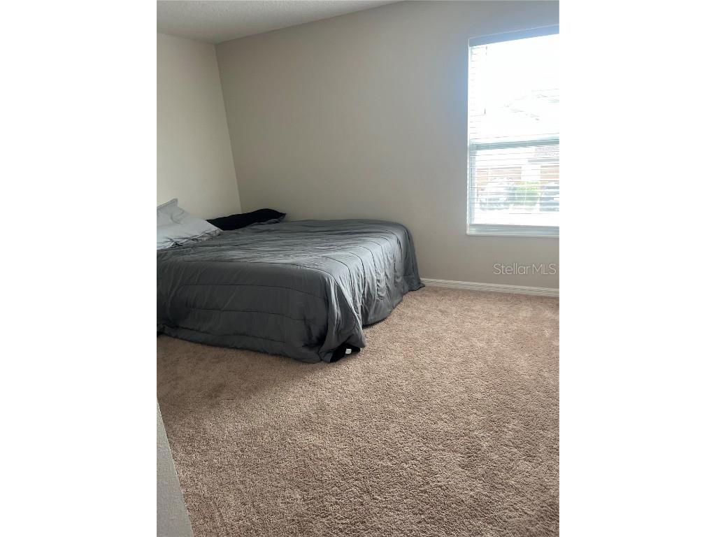 1635 Wynford Circle Tavares FL 32778 G5103148 image8