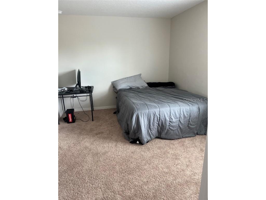 1635 Wynford Circle Tavares FL 32778 G5103148 image9