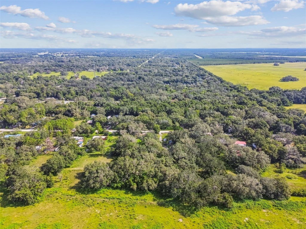 16350 Us Highway 41 Spring Hill FL 34610 TB8425802 image19