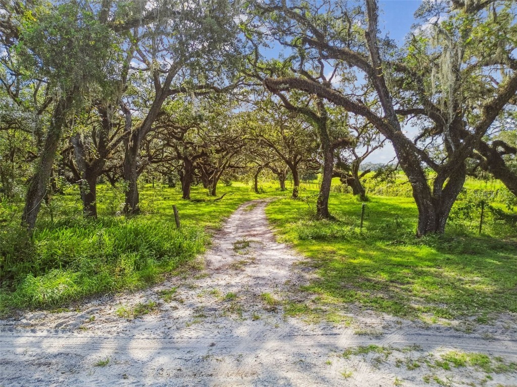 16350 Us Highway 41 Spring Hill FL 34610 TB8425802 image2