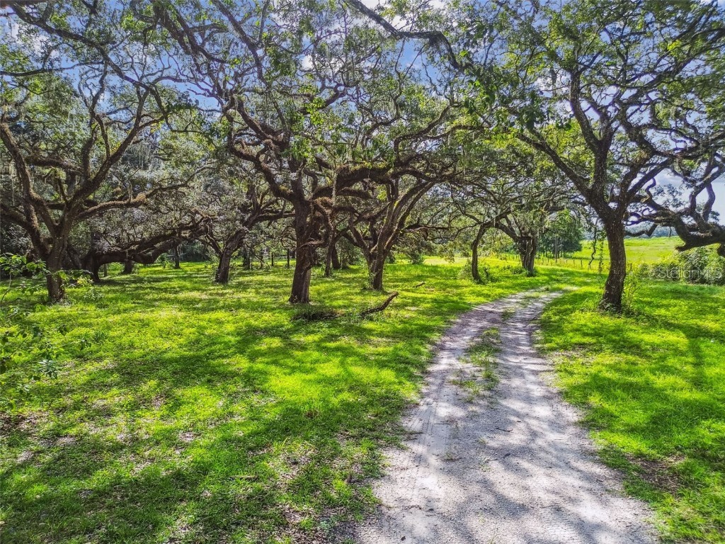 16350 Us Highway 41 Spring Hill FL 34610 TB8425802 image4