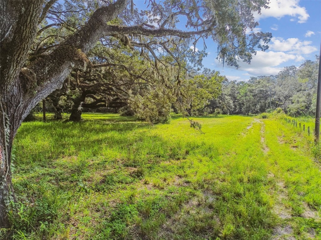 16350 Us Highway 41 Spring Hill FL 34610 TB8425802 image5