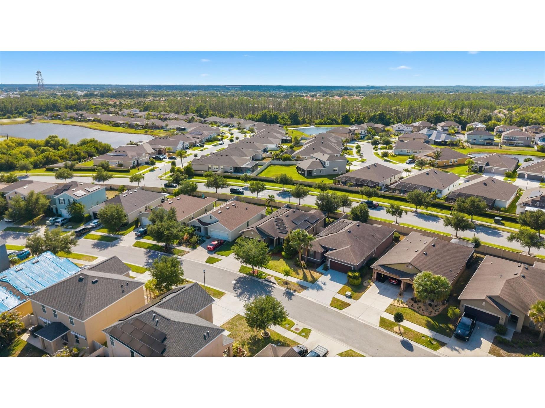 16357 Treasure Point Drive Wimauma FL 33598 TB8510574 image35