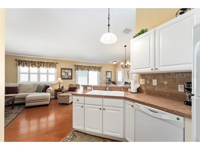 1636 Abasco Court The Villages FL 32162 OM726327 image18
