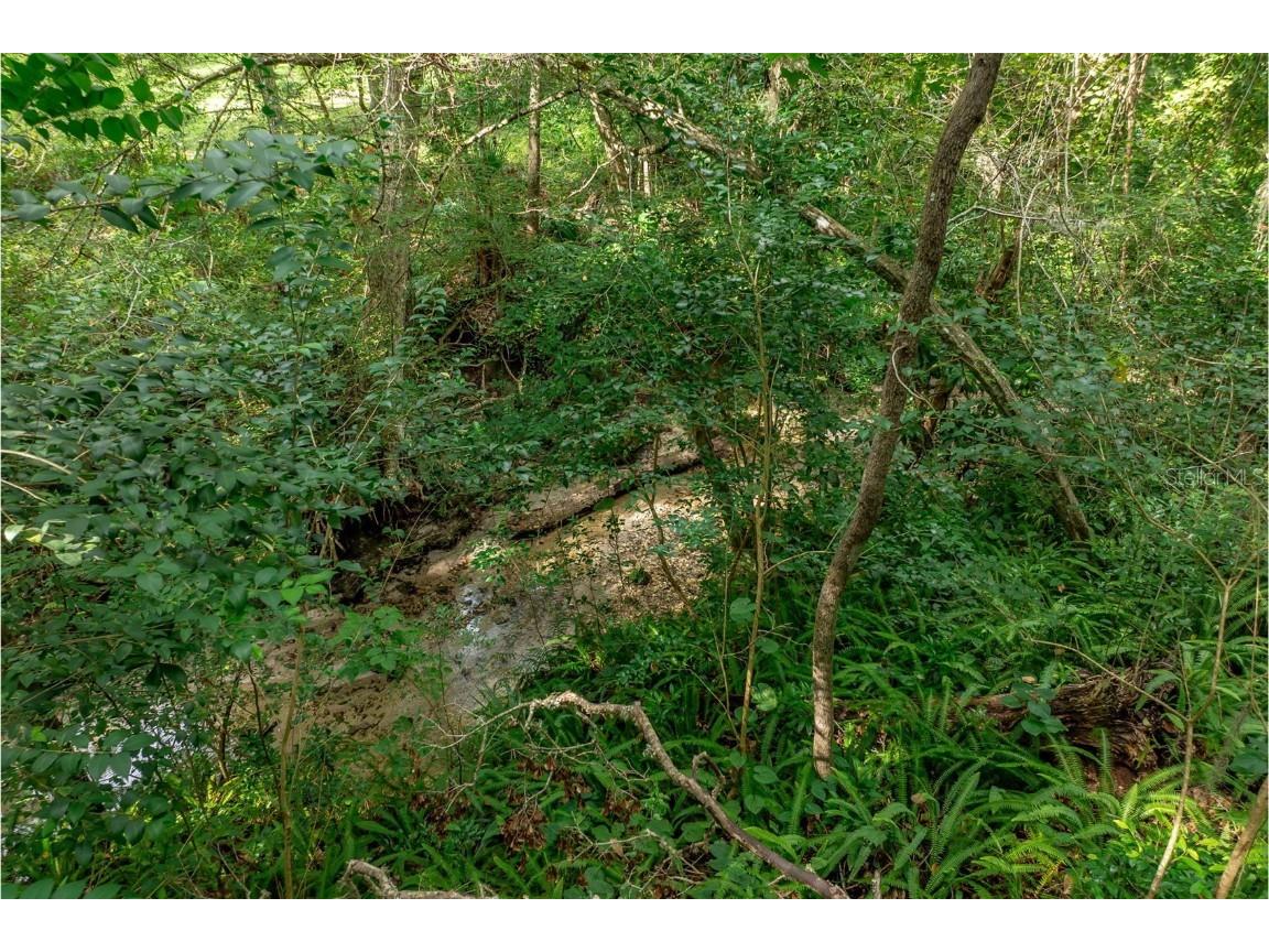 1636 NW 8th Avenue Gainesville FL 32603 GC533324 image62