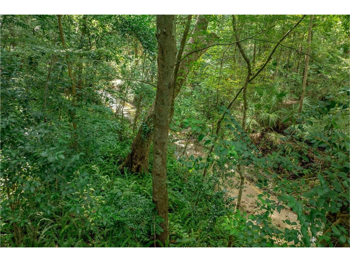 1636 NW 8th Avenue Gainesville FL 32603 GC533324 image63