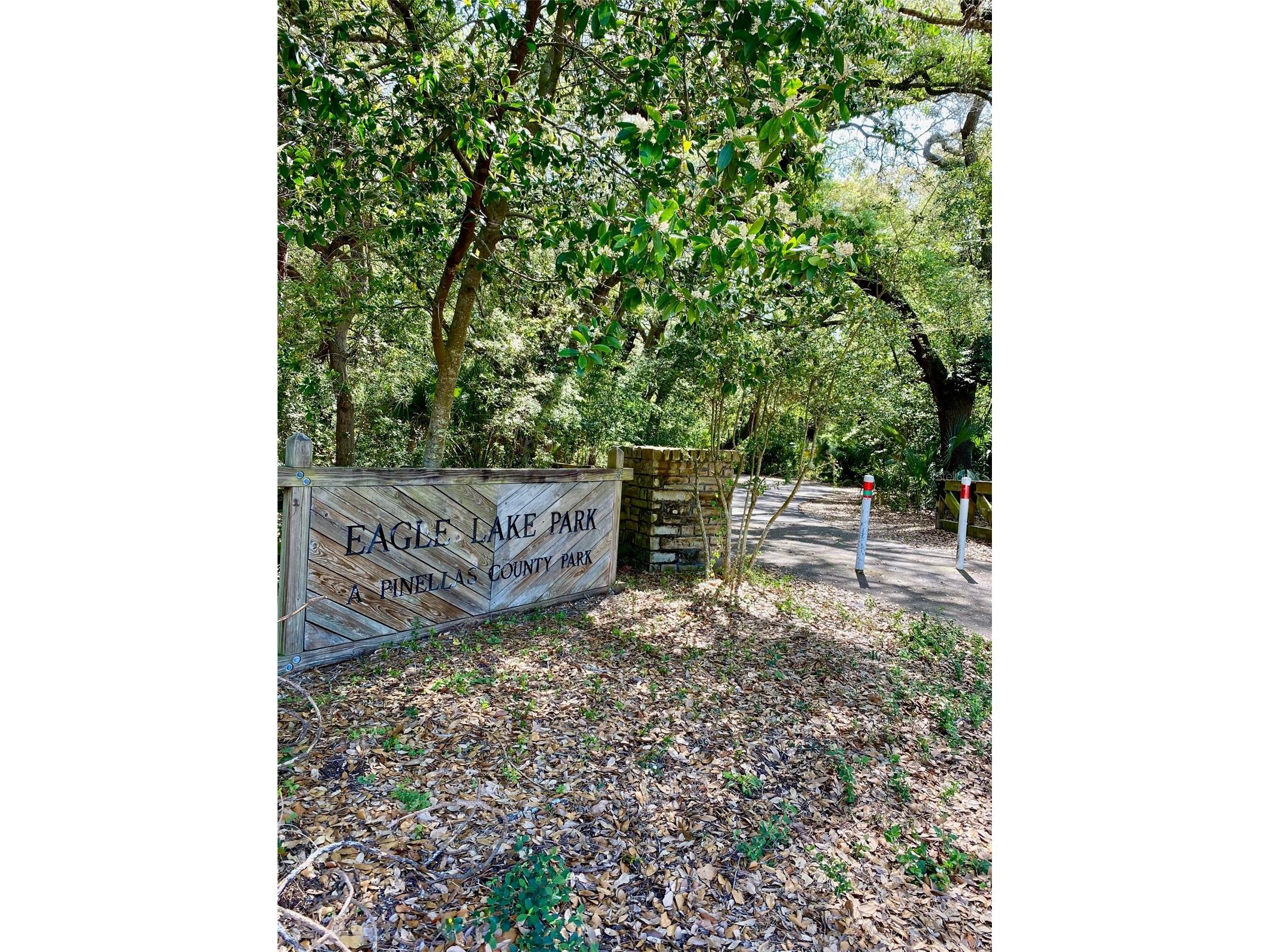 1636 S Lake Avenue #1 Clearwater FL 33756 TB8483249 image41