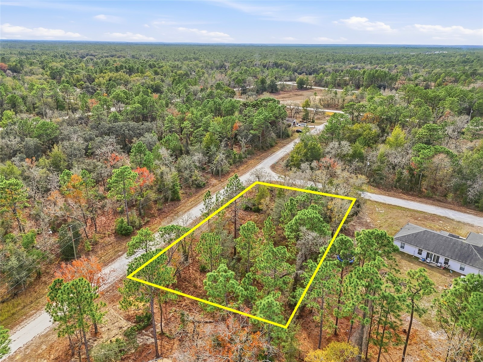 16364 Cayman Road Brooksville FL 34614 W7882960 image12