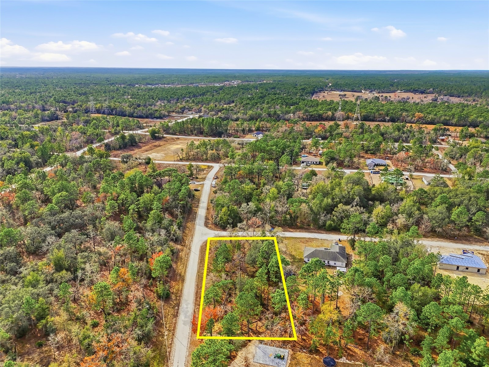 16364 Cayman Road Brooksville FL 34614 W7882960 image15