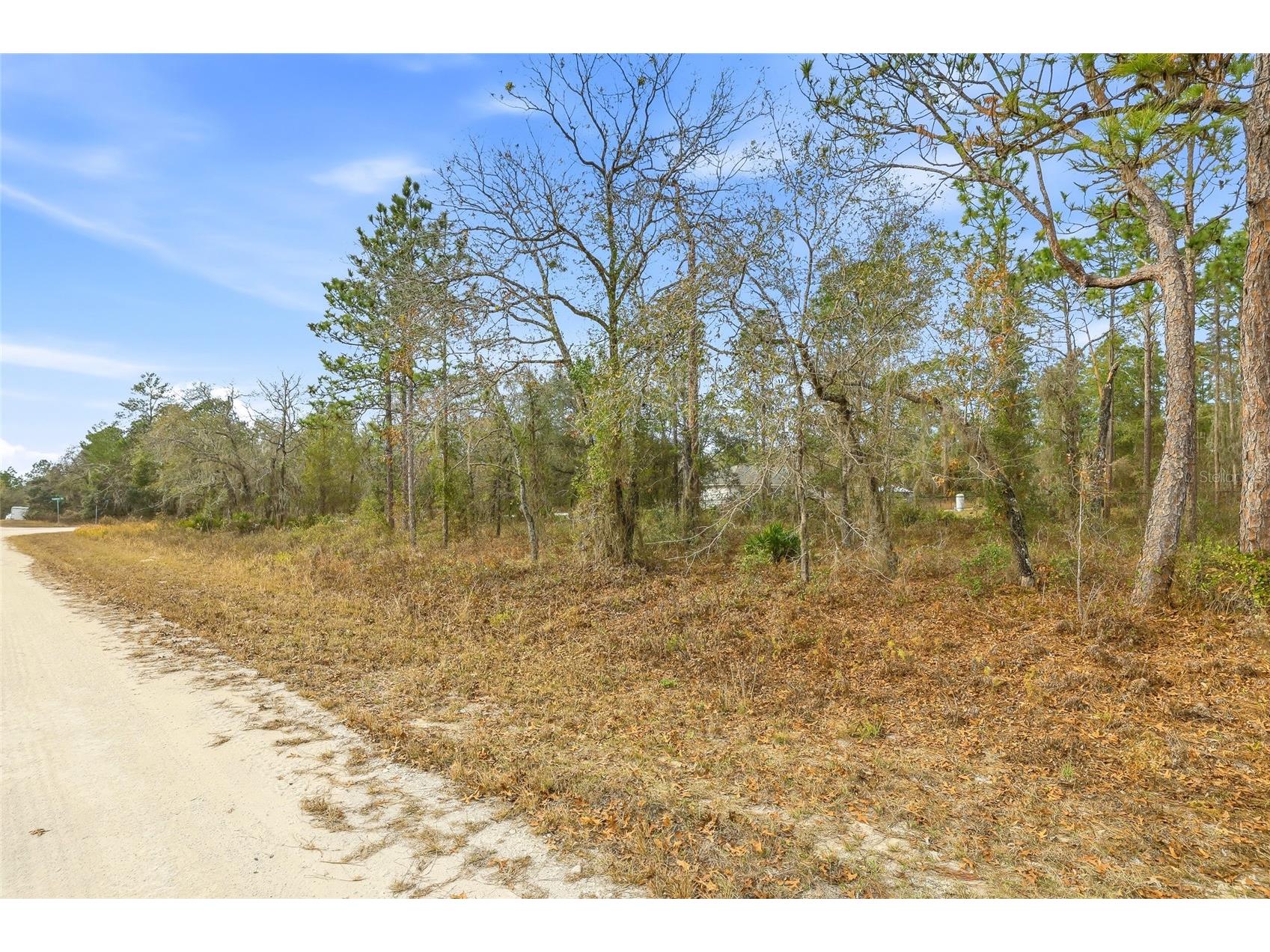 16364 Cayman Road Brooksville FL 34614 W7882960 image4