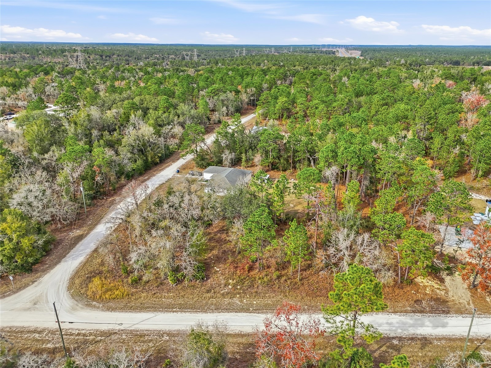 16364 Cayman Road Brooksville FL 34614 W7882960 image6