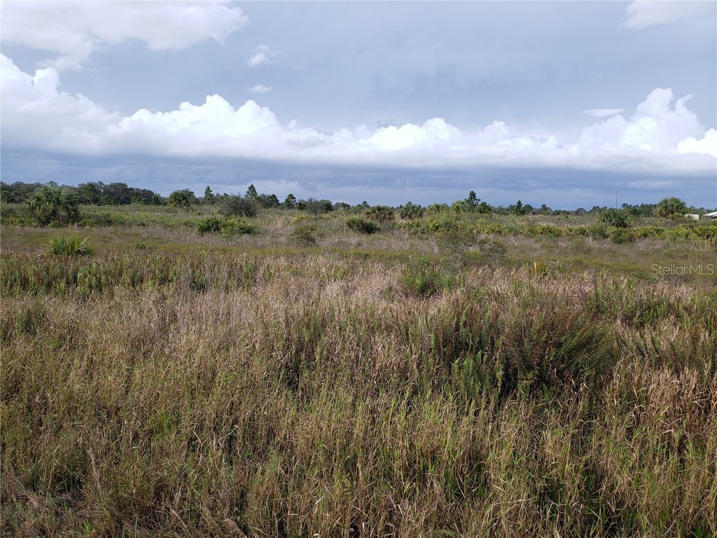 16365 NW 288th Street Okeechobee FL 34972 OK222280 image1