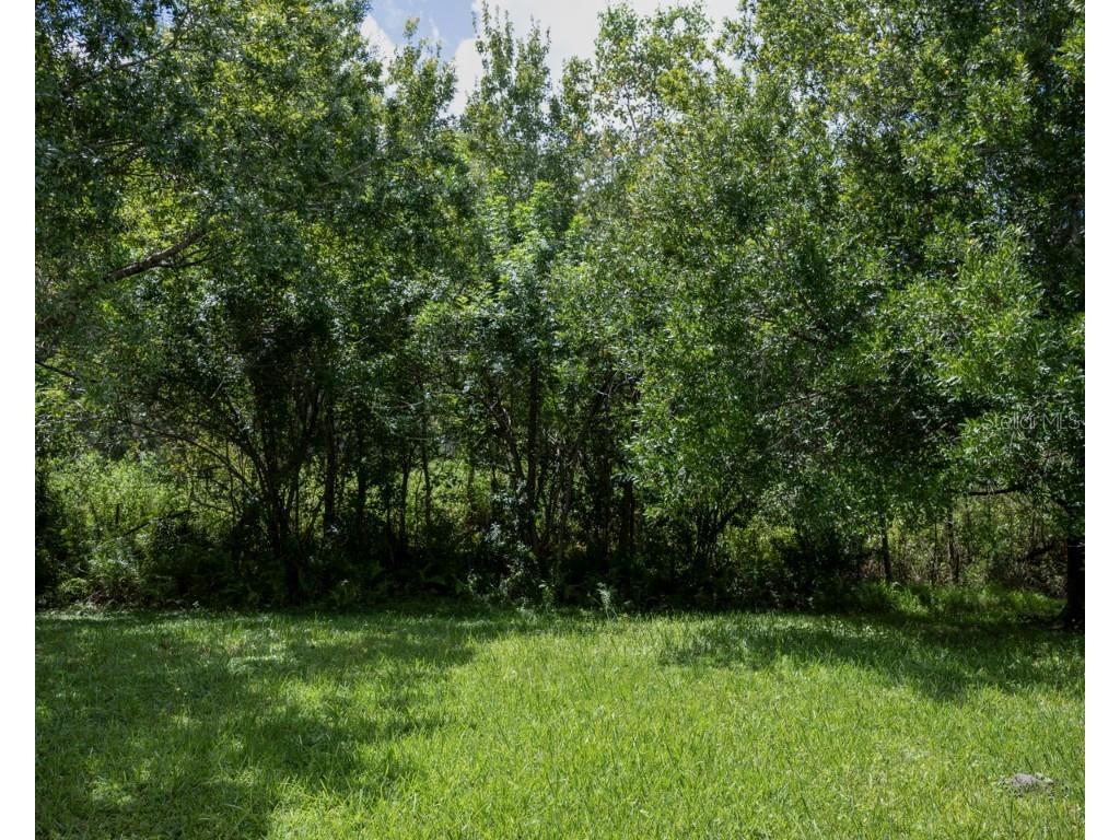 16368 Tudor Grove Drive Orlando FL 32828 O6349513 image33