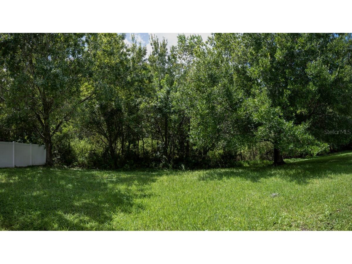 16368 Tudor Grove Drive Orlando FL 32828 O6349513 image34