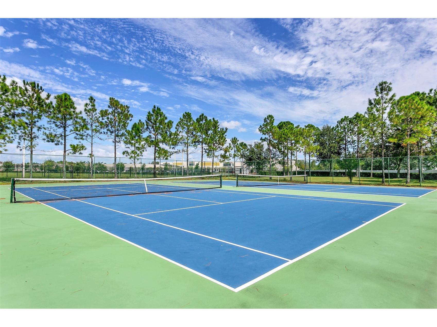 16368 Tudor Grove Drive Orlando FL 32828 O6349513 image48