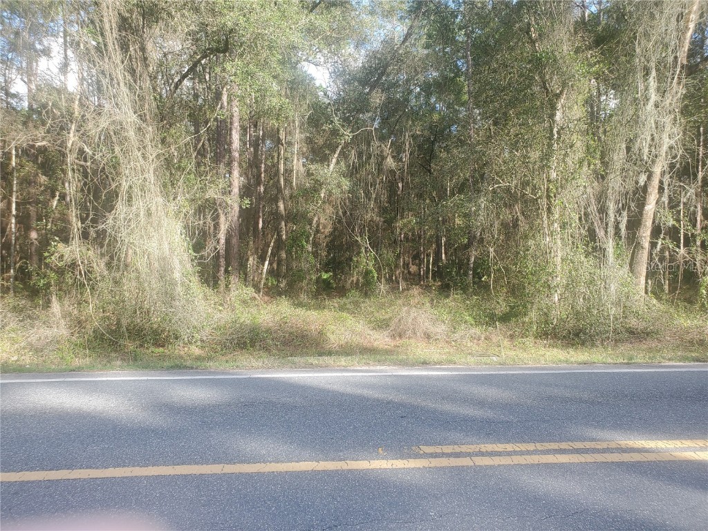 16369 SE 36th Avenue Summerfield FL 34491 OM671405 image1