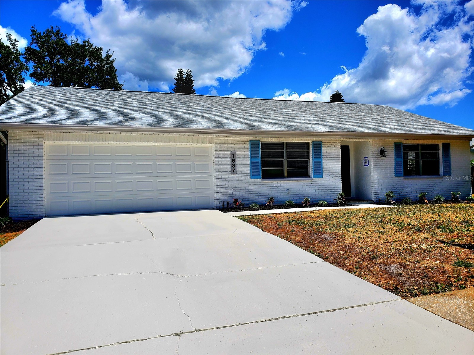 1637 Caledonia Drive Palm Harbor FL 34684 TB8492628 image1