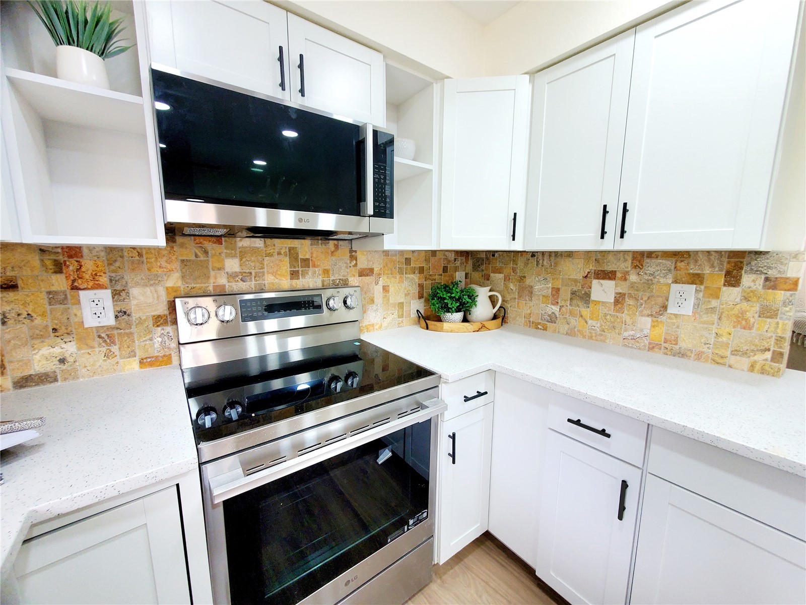 1637 Caledonia Drive Palm Harbor FL 34684 TB8492628 image13