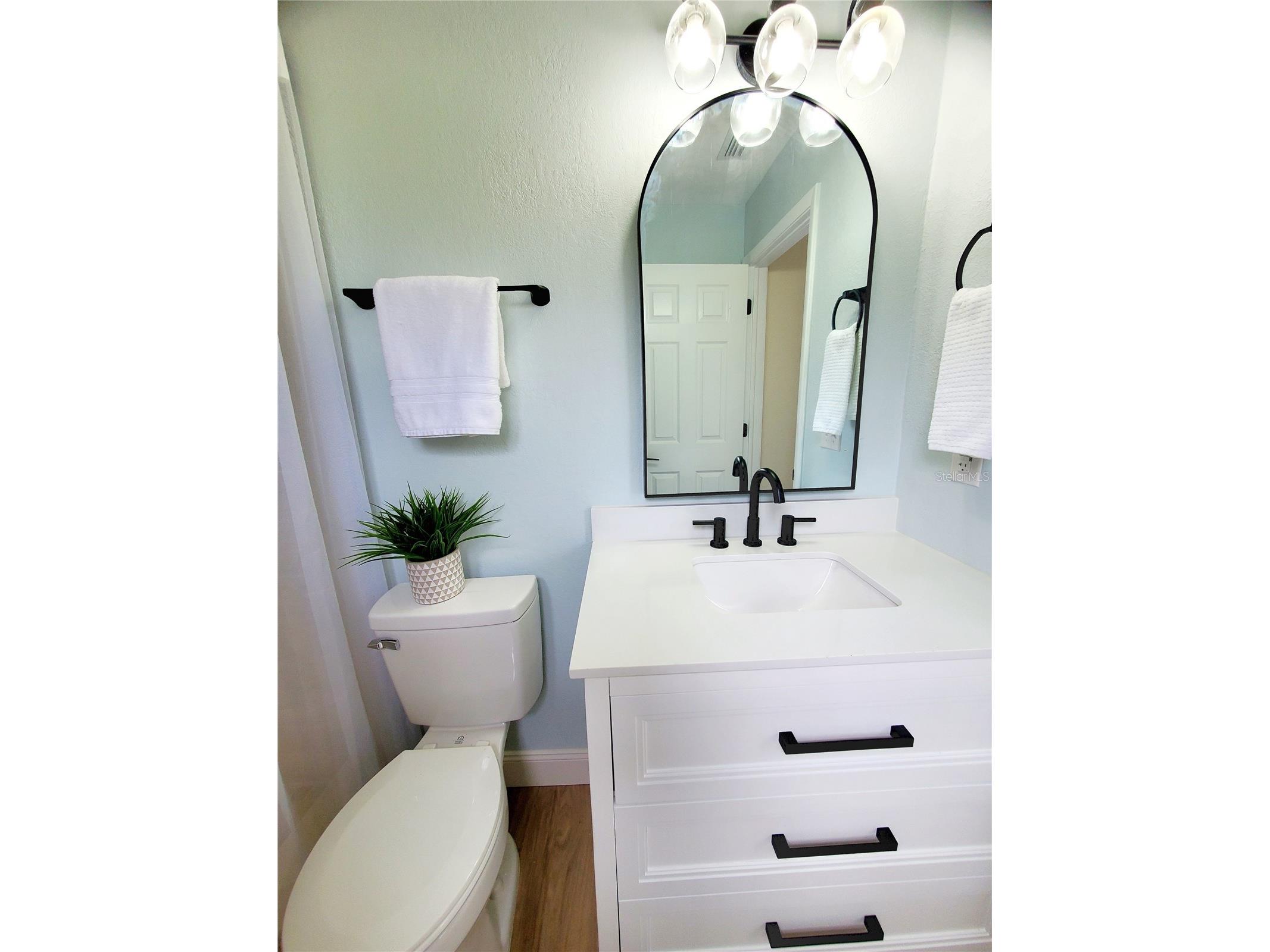 1637 Caledonia Drive Palm Harbor FL 34684 TB8492628 image24