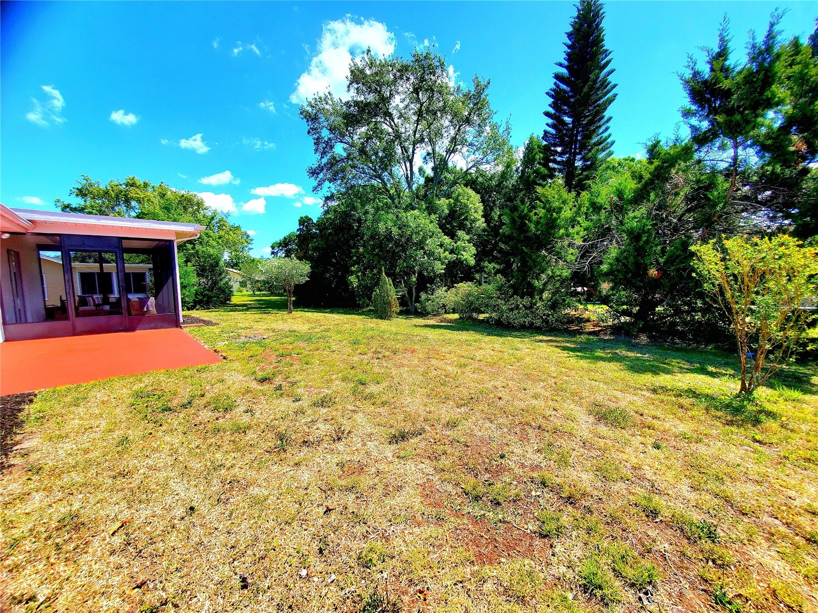 1637 Caledonia Drive Palm Harbor FL 34684 TB8492628 image42