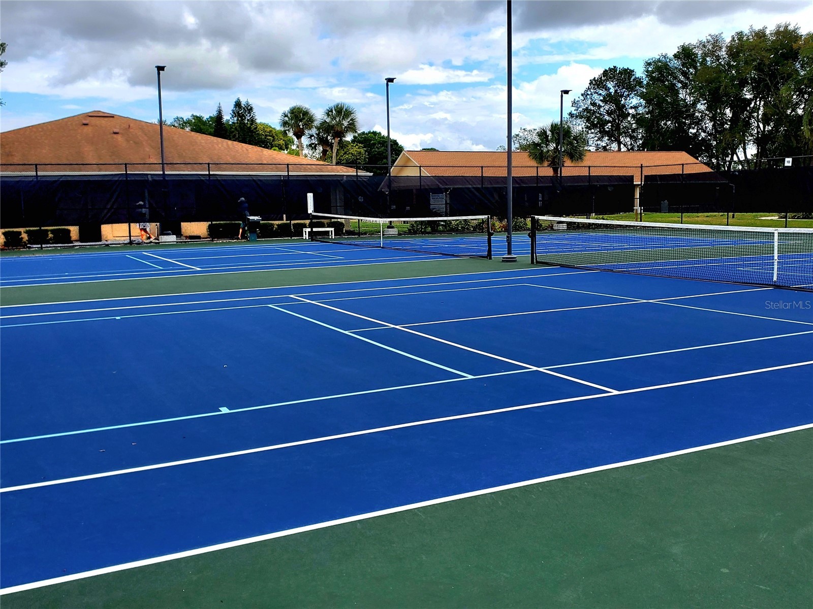 1637 Caledonia Drive Palm Harbor FL 34684 TB8492628 image45