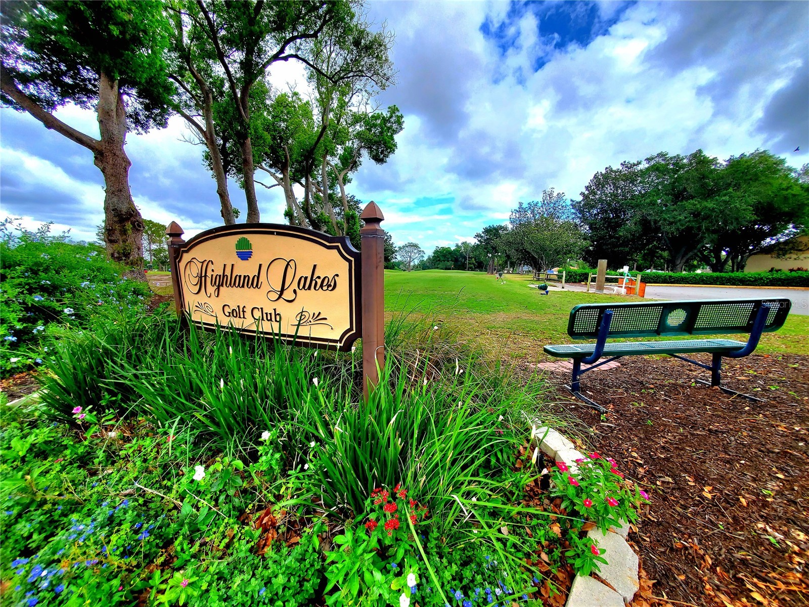 1637 Caledonia Drive Palm Harbor FL 34684 TB8492628 image47
